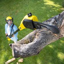 Best Pest Control for Lawns  in Hokendauqua, PA