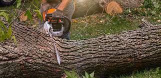 Lawn Edging in Hokendauqua, PA
